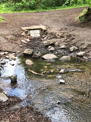 Abschlagsbauwerk zum Heiligenteich 2019